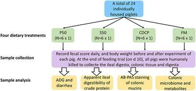 Colonic Microbiota and Metabolites Response to Different Dietary Protein Sources in a Piglet Model